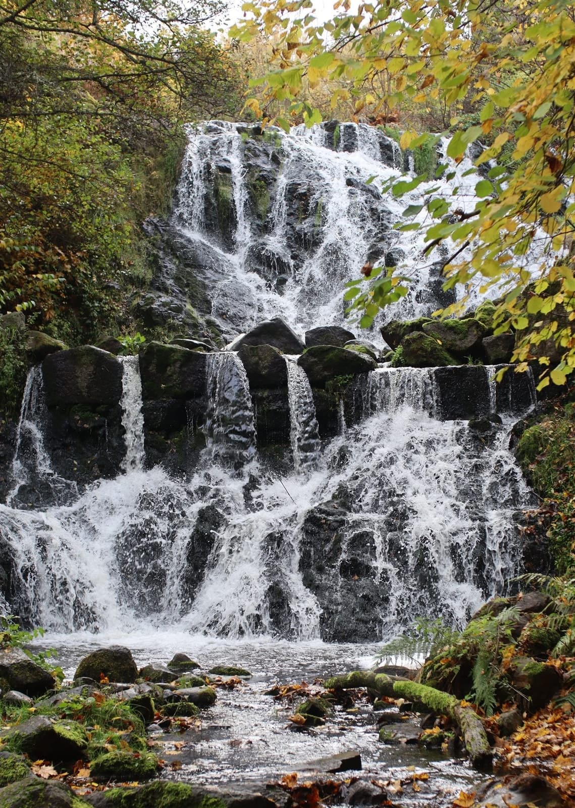 Cascade en forêt, entre rochers moussus et feuillage d'automne