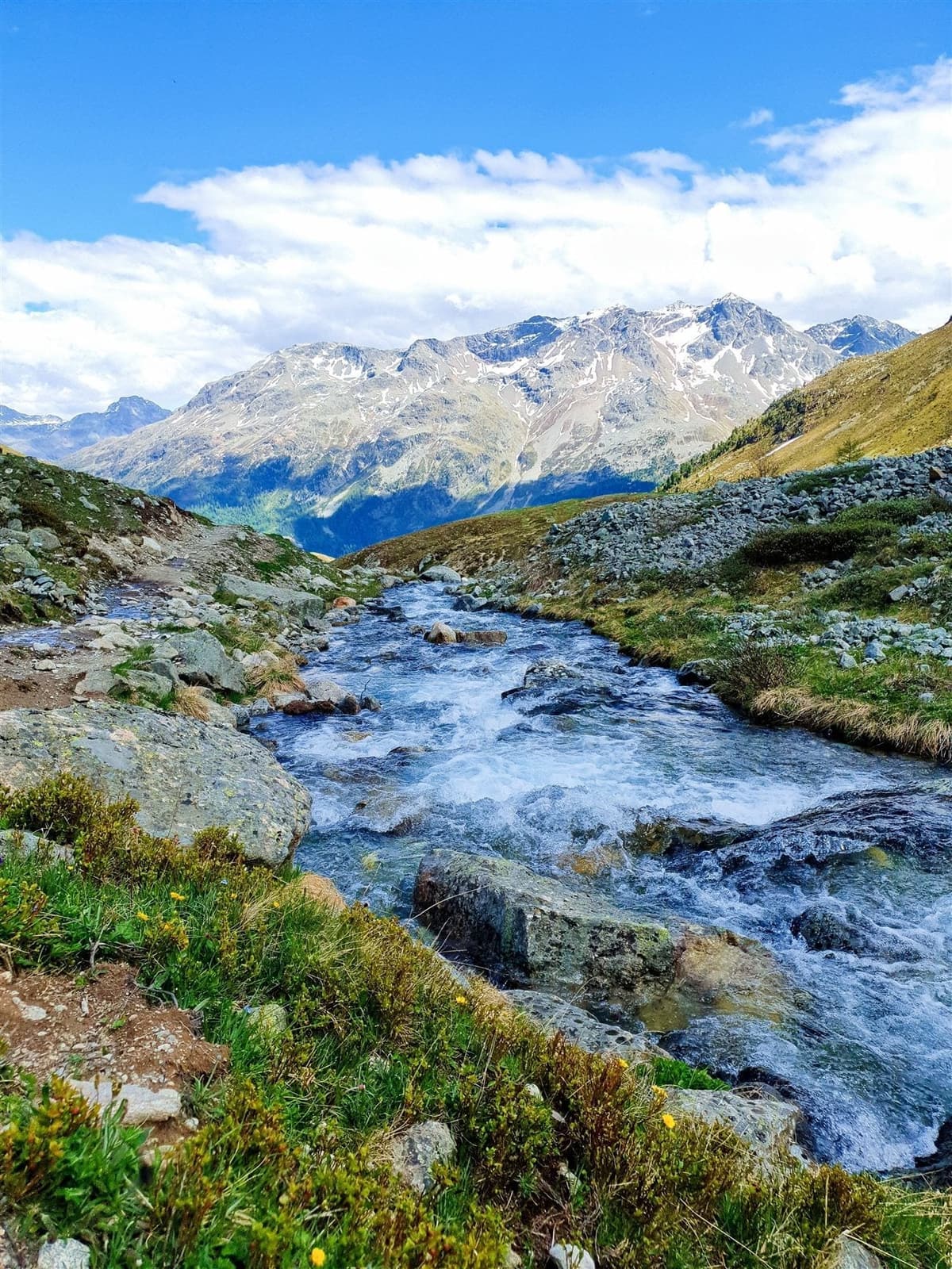Torrent de montagne entre rochers et sommets enneigés