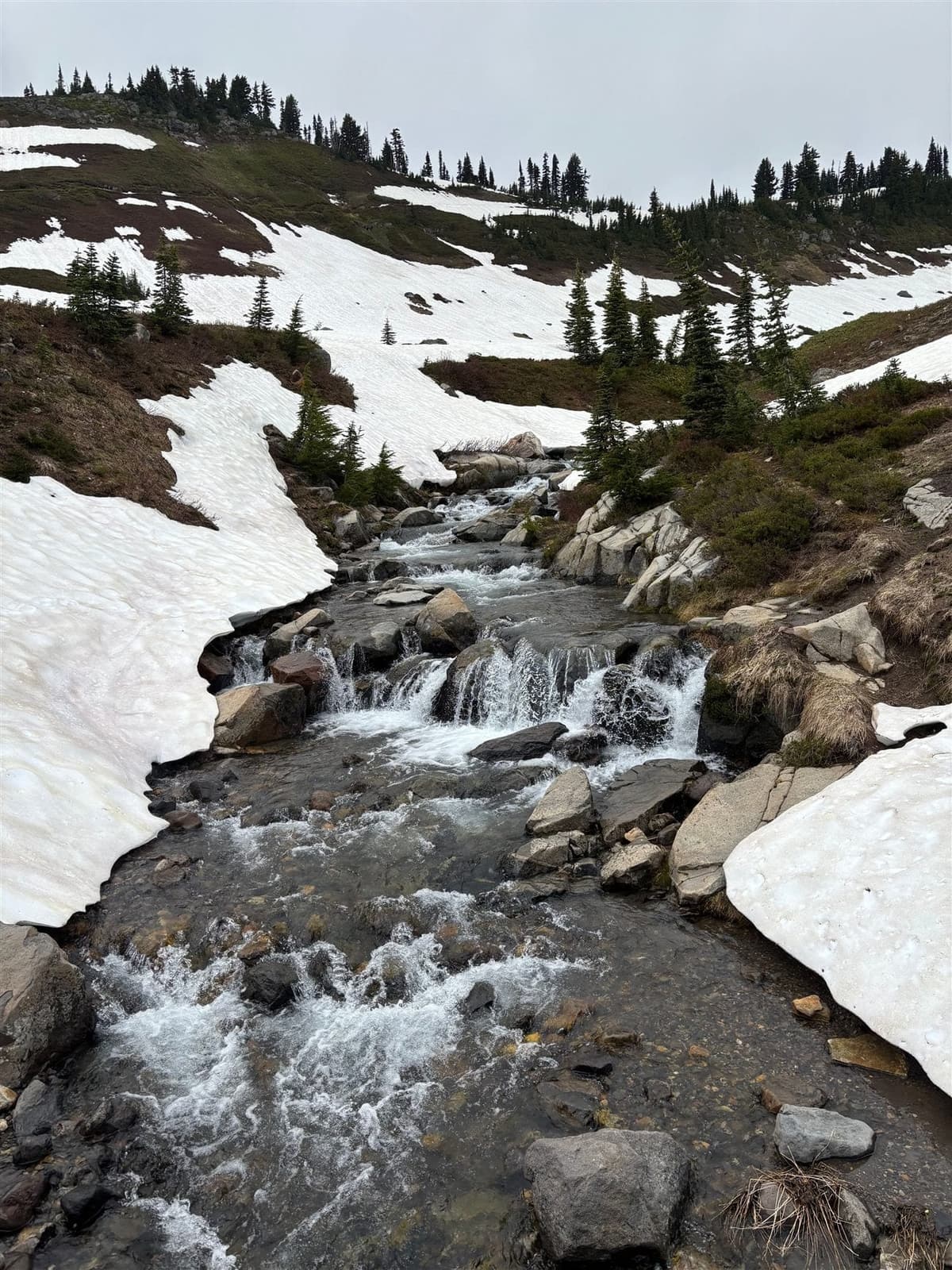 Ruisseau de fonte des neiges dans la montagne, entre rochers et plaques de neige