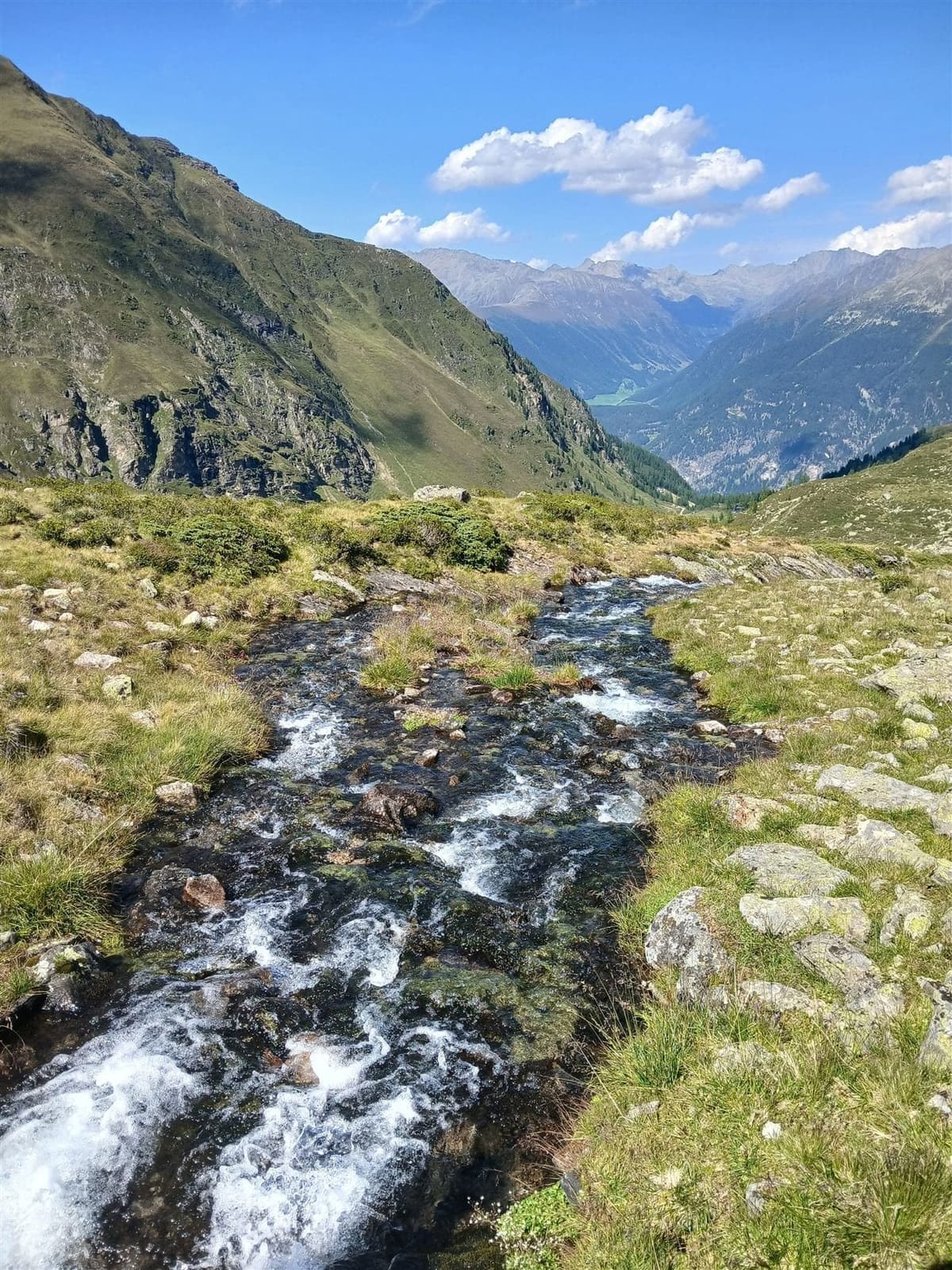 Torrent de montagne traversant une vallée alpine